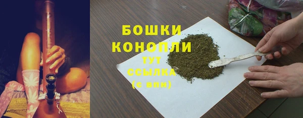 трава Бородино
