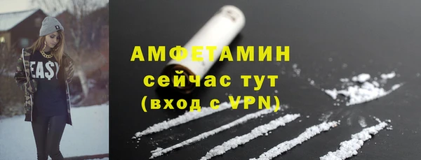 хмурый Белокуриха