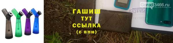 сатива Белоозёрский