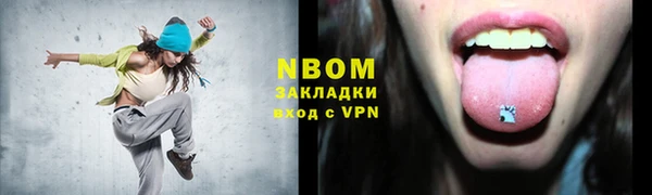 хмурый Белокуриха