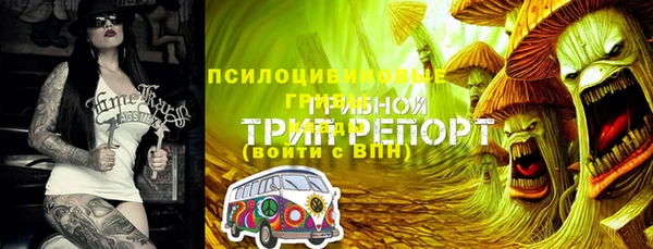 сатива Белоозёрский