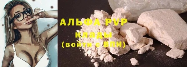 стаф Беломорск